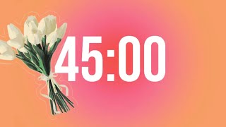 45 Minute Pink-Orange Aura Timer | Aesthetic Silent Countdown | Study Focus Calm Background
