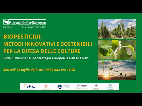 Video: Coltivare funghi in serra: tecnologia, caratteristiche del lavoro, condizioni necessarie e consigli di esperti