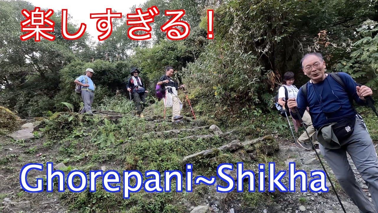 【ネパール🇳🇵ヒマラヤトレッキングの旅】ゴレパニからシカへ（11/5)