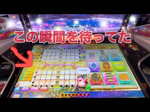 アニマロッタ6】ビンゴファームのチャンスカード赤って最高。 - YouTube