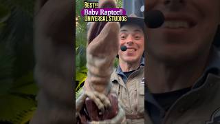Best! Baby Raptor! Universal Studios Florida! #shortsfeed #raptor #universalstudios