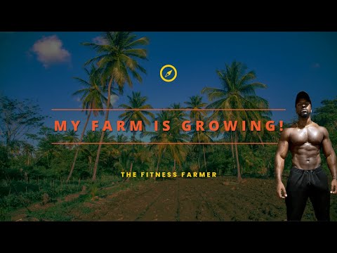 My Farm Is Growing In Grenada | The Fitness Farmer