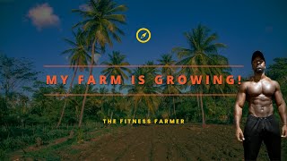 My Farm Is Growing In Grenada | The Fitness Farmer