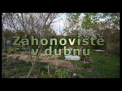 Video: Květinová Zahrada V Dubnu. Hlavní Díla