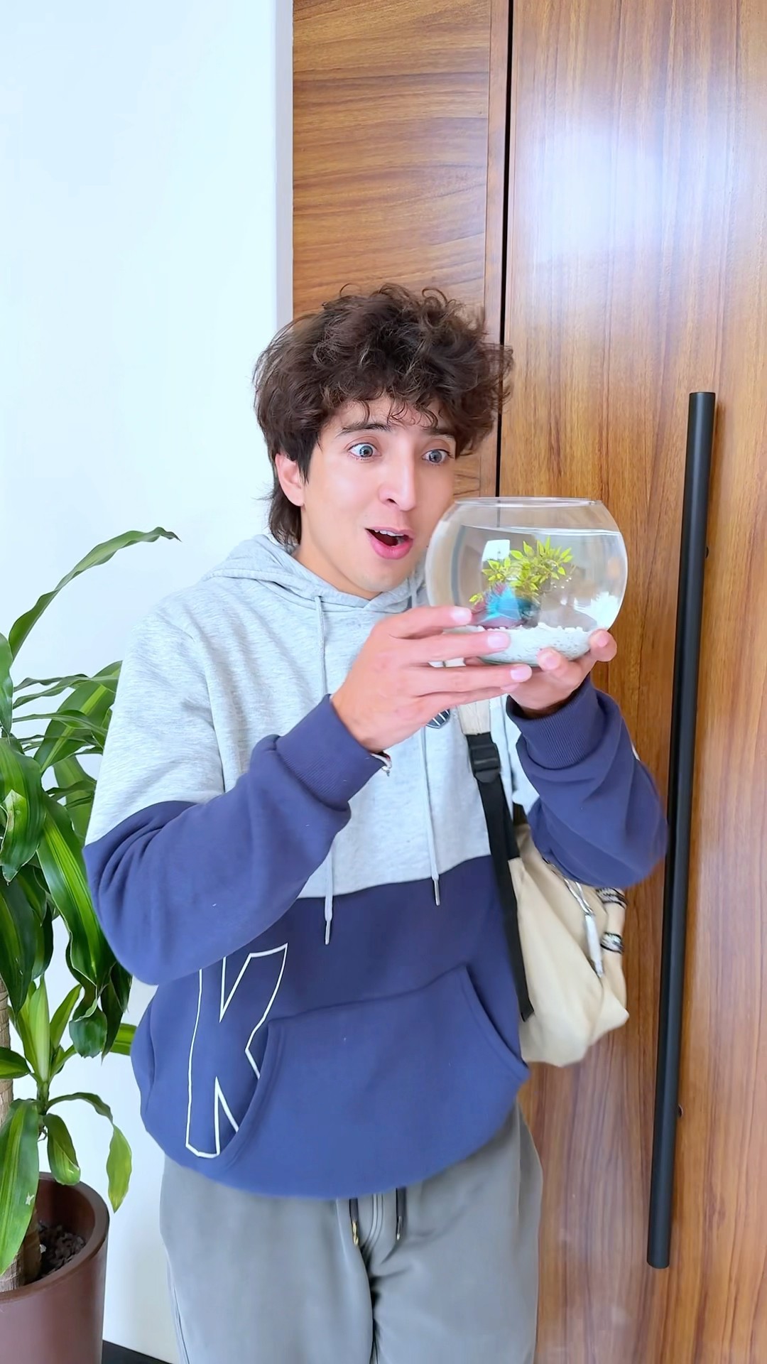 CUANDO SE COMEN A NEMO ?