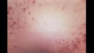443163916 C R Eng