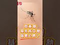 【#澳日快趣】“雙熱”殺到 如何預防？