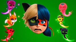 Miraculous Ladybug - Cat Noir Wrong Face