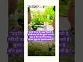 #nature #love #viral #video #lifeisbutadream