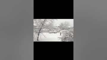 سورة يوسف • من {1} إلى {10} بصوت عامر الكاظمي