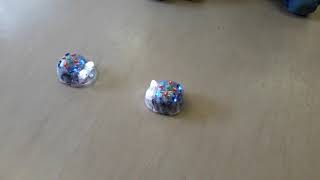 Blue-Bot tants