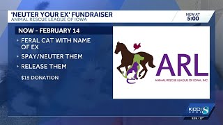 Iowa Animal Rescue Offers Valentines Day Fundraiser To Neuter Cats Named After Exes
