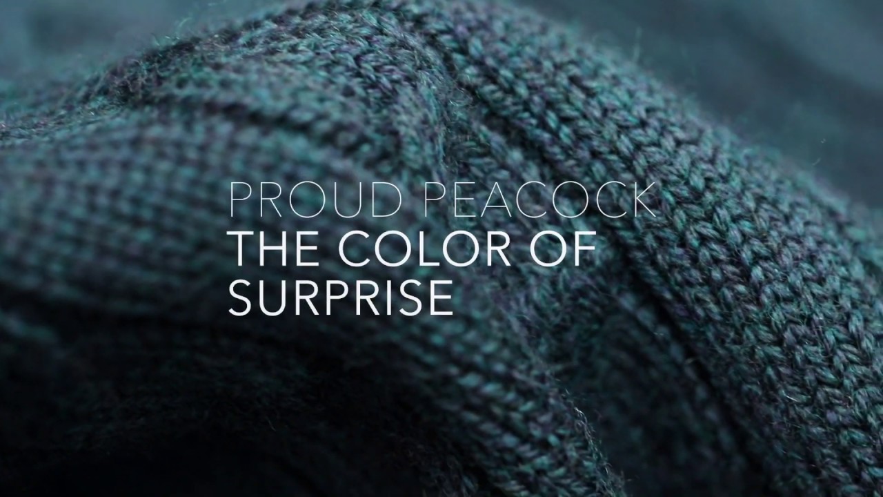 Proud Peacock, The Colour of Surprise | Joe Merino