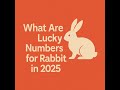 What Are The Lucky Number For Rabbit In 2025 What Are The Lucky Number For Rabbit In 2025