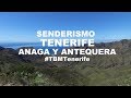 QUÉ HACER EN TENERIFE Senderismo, ANAGA y PLAYA DE  ANTEQUERA ¡Qué Gran Viaje! Lee de Caires