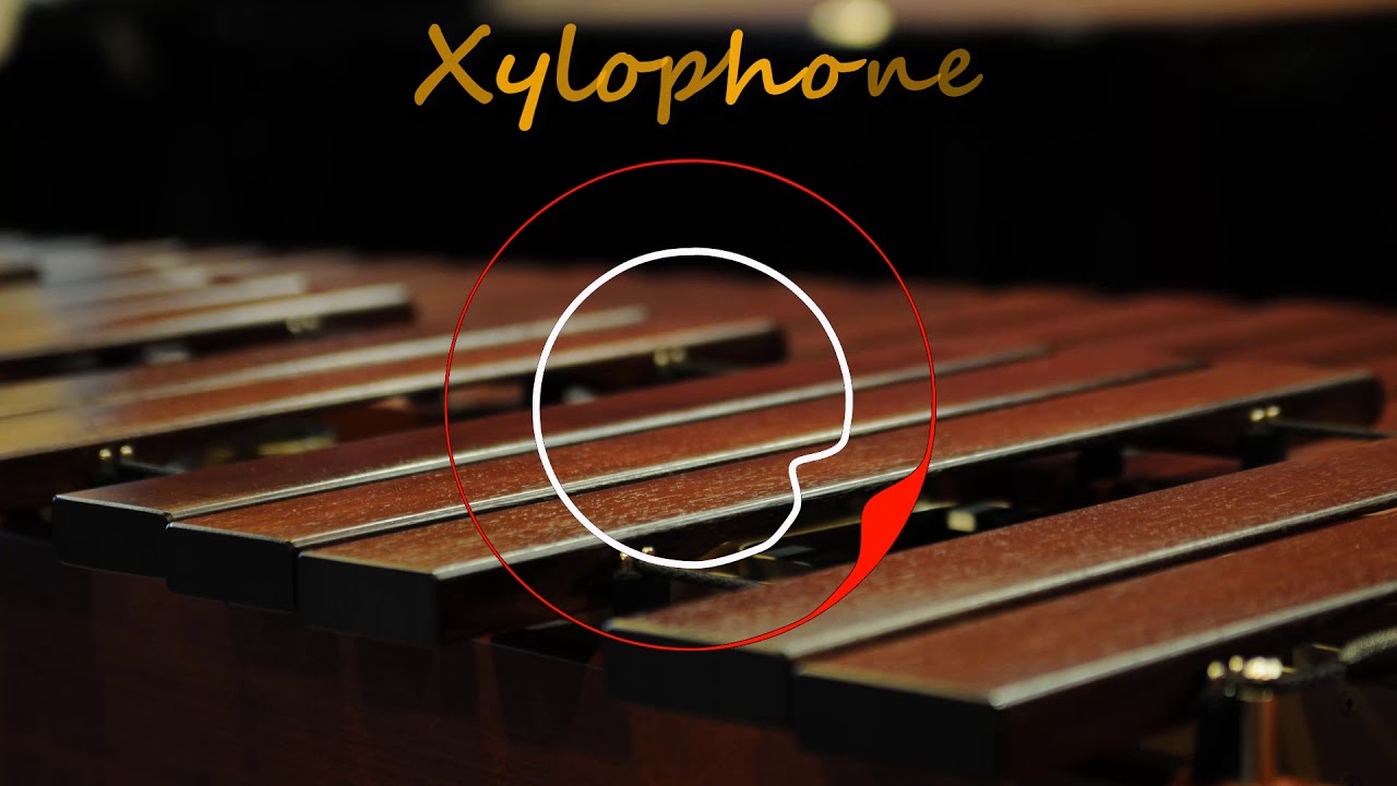 xylophone ringtone