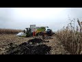 CLAAS LEXION 760 STUCK IN MUD I Jakos a.s. , JMG agro , First Farms