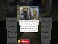 في ولاية كولورادو بالولايات المتحدة دخل غزال إلى متجر فقدم له صاحب المتجر قطعة فول سوداني 