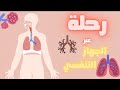 فيديو تعليمي رحلة عبر الجهاز التنفسي