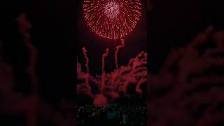 🎆🎆🎊🎊2025🎊🎊🎆🎆 | #shtvlog #viralshort #2025 #happynewyear #minivlog