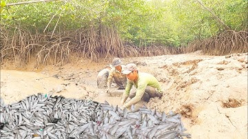 Đẩy Một Cái  " Nước Chảy Ra "  Tôm Cá Nhảy Trắng Dã