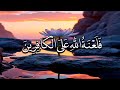 أرح سمعك.. تلاوة هادئة تريح القلب والعقل💛😴 | ساعة كاملة🕛🎧 القارئ عبدالرحمن مسعد | Abdulrhman Mosad