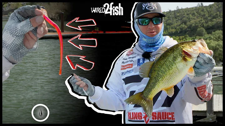 How to Power Drop Shot Springtime Bass (Bubba Shot)