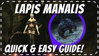 Lapis Manalis dungeon: QUICK & EASY GUIDE! Endwalker 6.3