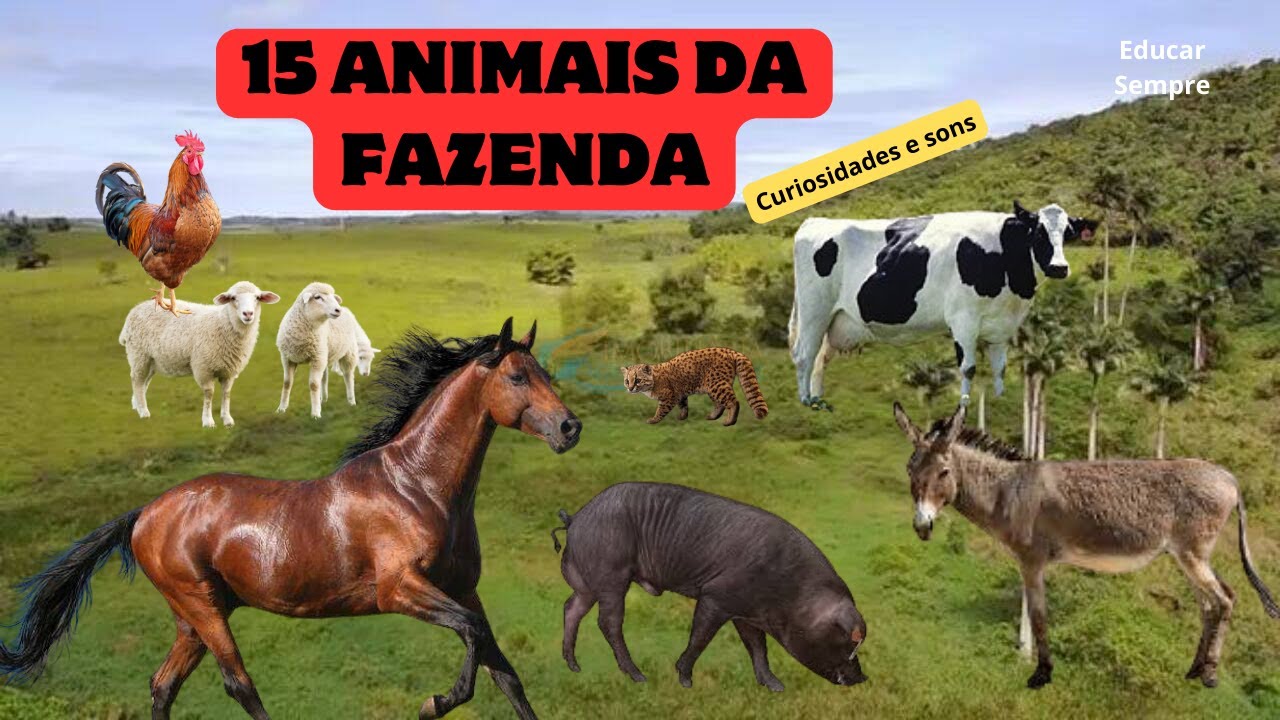 Curiosidades e sons de 15 animais da fazenda - YouTube