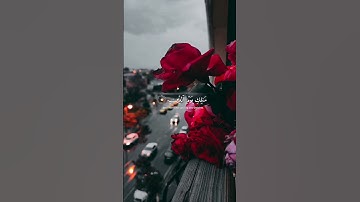 سورة الفاتحة بصوت الشيخ فارس عباد   #سورة_الفاتحة_كاملة