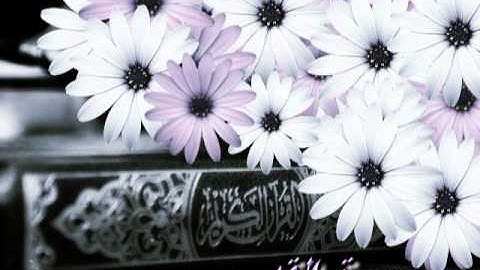 سورة القدر بصوت الشيخ ماهر المعيقلي(al-qadr)