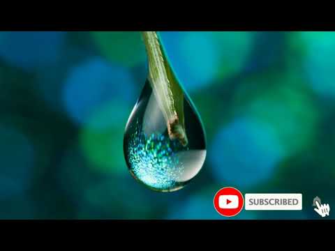 Water Drop Ringtone Cute Tone