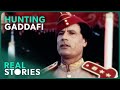Why Did The CIA Takedown Gaddafi 