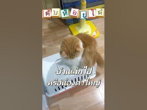 คับที่อยู่ได้ คับใจอยู่ยาก ถูกต้องทันเวลา - YouTube คับที่อยู่ได้ คับใจอยู่ยาก ถูกต้องทันเวลา - Youtube