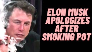 Why Elon Musk Apologizes For Smoking Weed With Joe Rogan