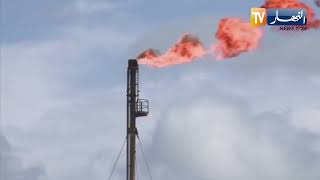 الجزائر تكثف الجهود في مجال صناعة الغاز.. كيف تحولت الفكرة من النفط إلى الغاز؟