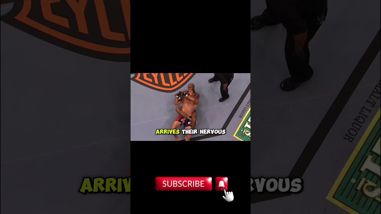 UFC champions Makes Fighting Look Simple 