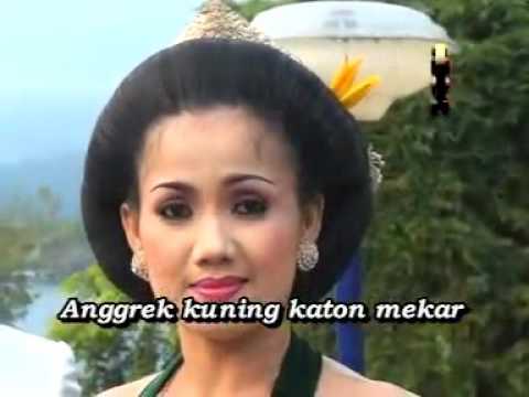 ANGGREK KUNING