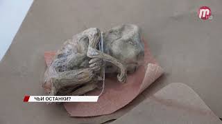В центре Улан-Удэ рабочие обнаружили мумии детей