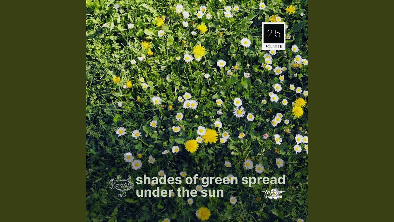 Watch leafness on YouTube Watch leafness on YouTube