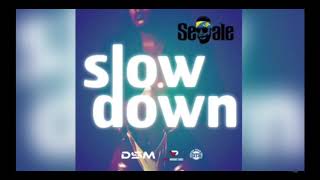 Sedale - Slow Down (Atmosphere Riddim) [2018 Soca] [HD]