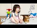 おだやかモードの兄猫の薄いリアクションに倒れちゃう2歳娘
