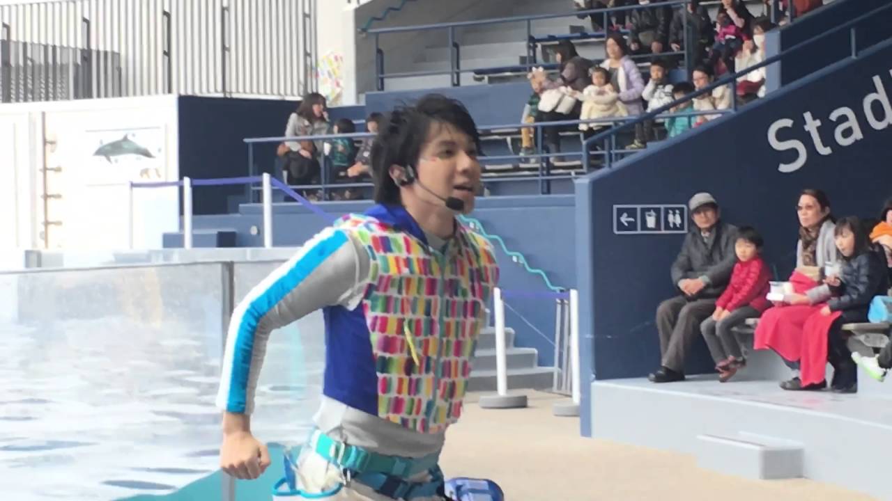 京都水族館 イルカショー 聞いて音 Youtube