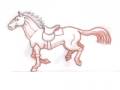 A horse is galloping study