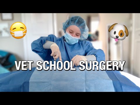 veterinary medicine