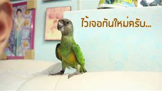 #7 ความน่ารักของชาเขียว! | PART2