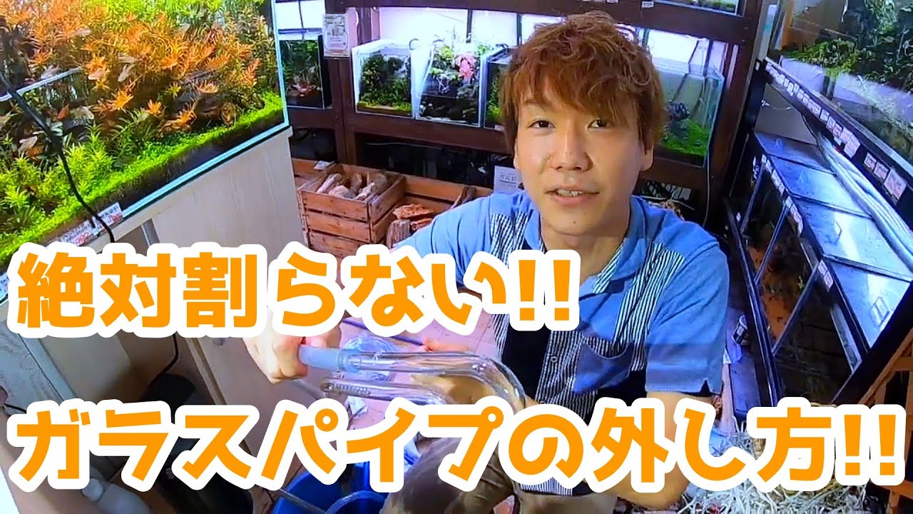 Mr. Yamada demonstrates the correct way to pull out an ADA Lily
