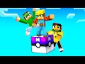 MINECRAFT PIXELMON MA SU UN SOLO BLOCCO MASTERBALL