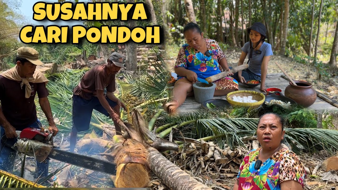 MASAK PONDOH KELAPA || OH TERNYATA GINI CARA AMBIL PONDOH ⁉️