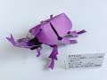 ペーパークラフト ・ カブトムシ  ( 改訂版 )